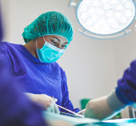 Telecom Services we provide